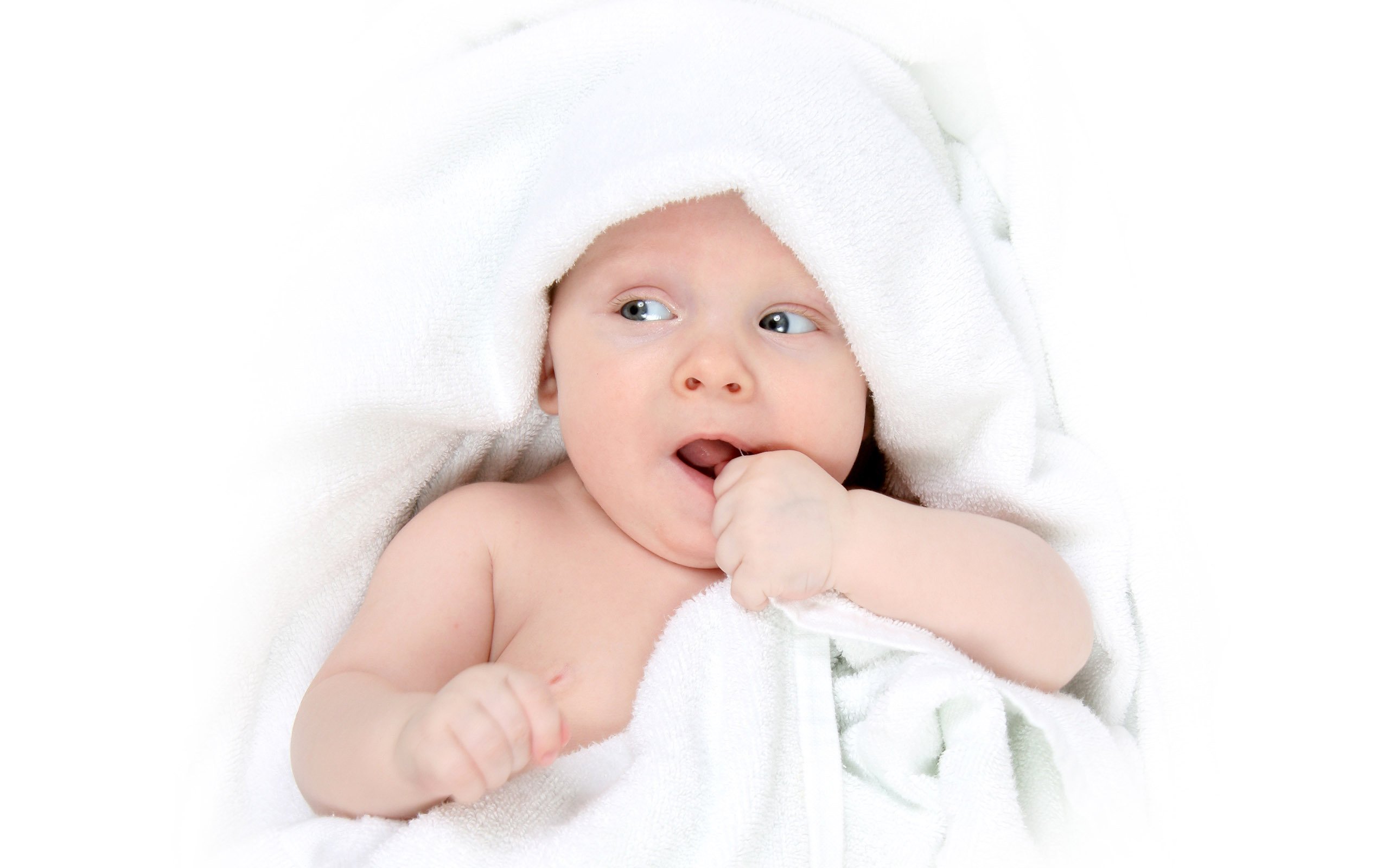 保山供卵公司机构ivf试管婴儿成功率